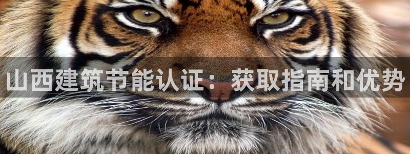 e尊国际-e尊国际官网：山西建筑节能认证：获取指南和优势