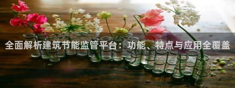 e尊平台：全面解析建筑节能监管平台：功能、特点与应用全覆盖