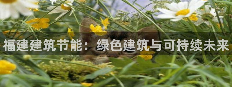 e尊国际娱乐官网地址：福建建筑节能：绿色建筑与可持续未来