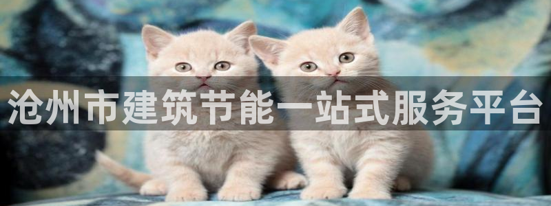 e尊国际平台：沧州市建筑节能一站式服务平台