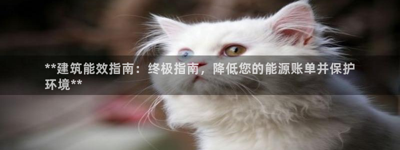e尊电竞：**建筑能效指南：终极指南，降低您的能源账单并保护
环境**