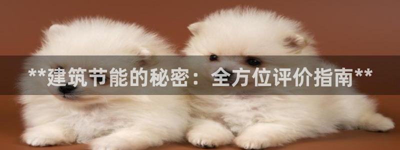e尊国际客户端：**建筑节能的秘密：全方位评价指南**