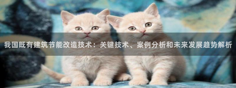 e尊国际平台：我国既有建筑节能改造技术：关键技术、案例分析和未来发展趋势解析