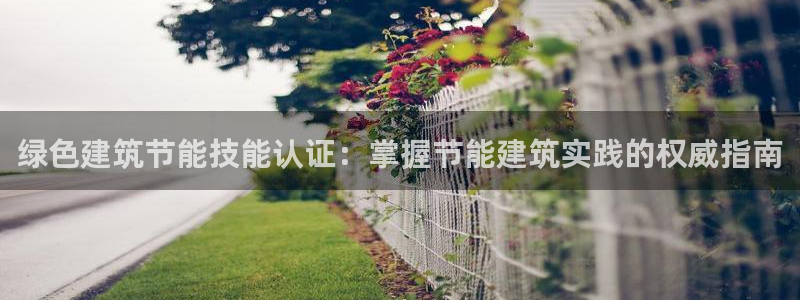 谁知道e尊国际的网址：绿色建筑节能技能认证：掌握节能建筑实践的权威指南