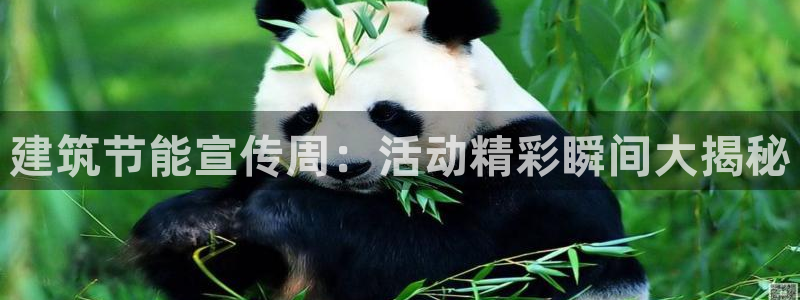 e尊国际娱乐官网下载：建筑节能宣传周：活动精彩瞬间大揭秘