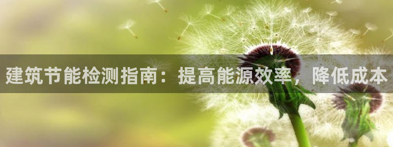 e尊国际客户端：建筑节能检测指南：提高能源效率，降低成本