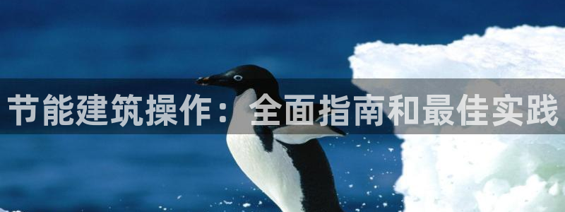E尊国际：节能建筑操作：全面指南和最佳实践