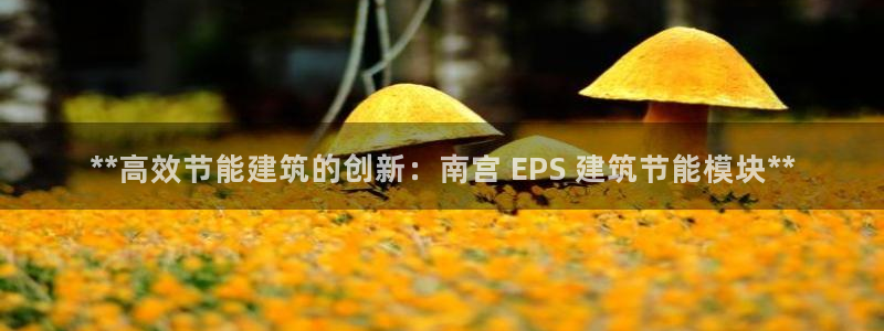 e尊国际客服：**高效节能建筑的创新：南宫 EPS 建筑节能模块**