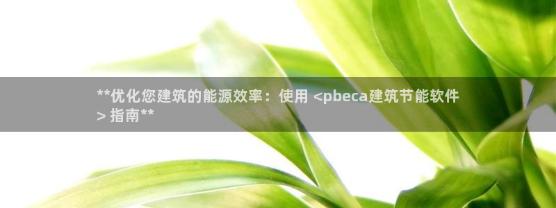 e尊国际官方网站：**优化您建筑的能源效率：使用 <pbeca建筑节能软件
> 指南**