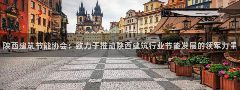 e尊国际娱乐官网地址：陕西建筑节能协会：致力于推动陕西建筑行业节能发展的领军力量