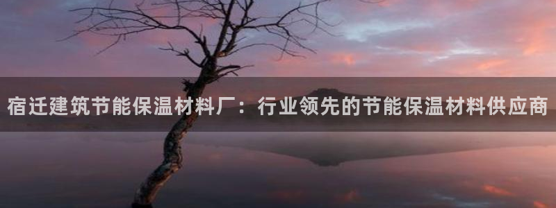 e尊国际7779：宿迁建筑节能保温材料厂：行业领先的节能保温材料供应商
