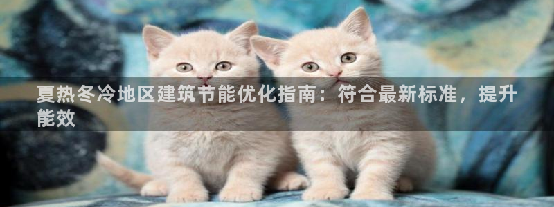 e尊国际网址：夏热冬冷地区建筑节能优化指南：符合最新标准，提升
能效