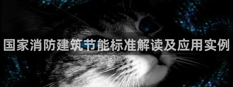 e尊国际客户端：国家消防建筑节能标准解读及应用实例