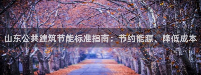 e尊国际娱乐官网地址：山东公共建筑节能标准指南：节约能源、降低成本