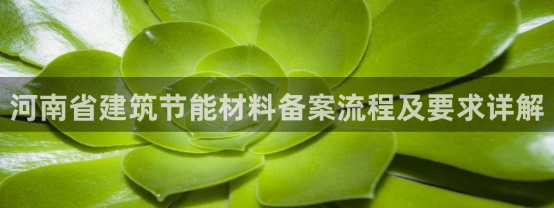 E尊国际