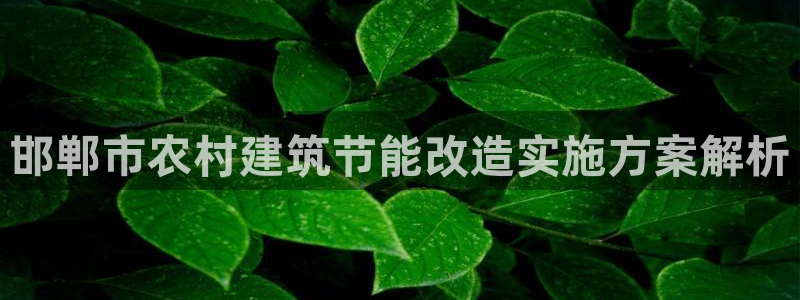 e尊国际app：邯郸市农村建筑节能改造实施方案解析