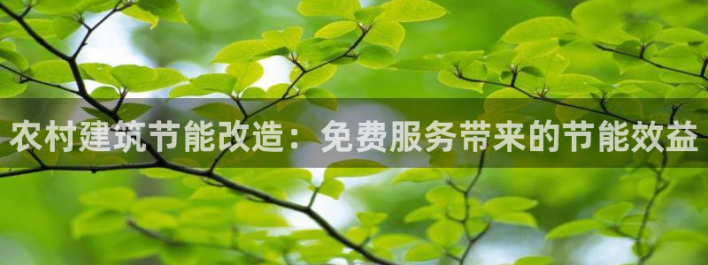 e尊国际是个黑网：农村建筑节能改造：免费服务带来的节能效益
