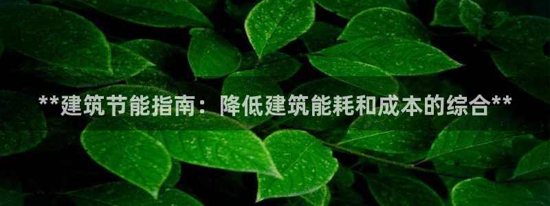 e尊国际的手机登录网站：**建筑节能指南：降低建筑能耗和成本的综合**