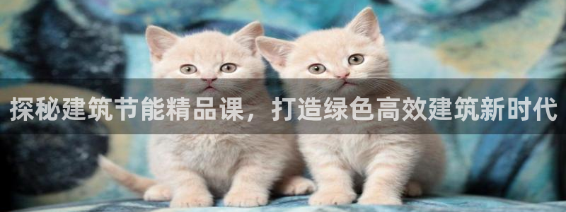 e尊国际7779：探秘建筑节能精品课，打造绿色高效建筑新时代