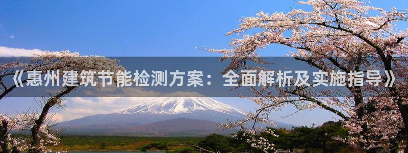 e尊国际地址：《惠州建筑节能检测方案：全面解析及实施指导》