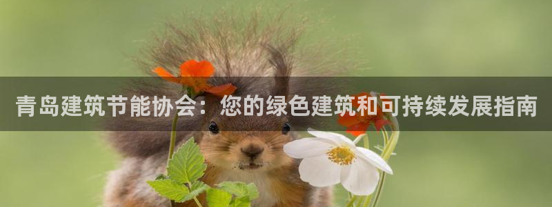 E尊国际网站：青岛建筑节能协会：您的绿色建筑和可持续发展指南