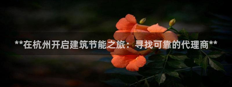 E尊国际：**在杭州开启建筑节能之旅：寻找可靠的代理商**