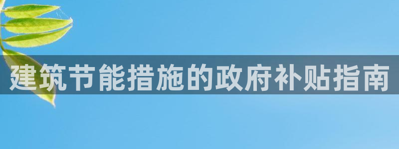谁知道e尊国际的网址：建筑节能措施的政府补贴指南