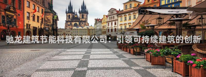 e尊国际官网app：驰龙建筑节能科技有限公司：引领可持续建筑的创新