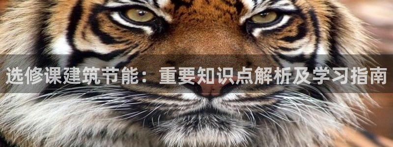 E尊国际网站