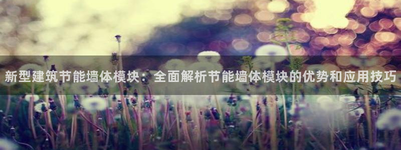e尊官网：新型建筑节能墙体模块：全面解析节能墙体模块的优势和应用技巧