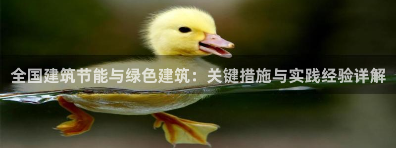 e尊国际娱乐官网地址：全国建筑节能与绿色建筑：关键措施与实践经验详解