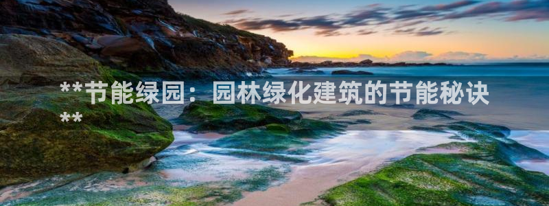 e尊国际网址