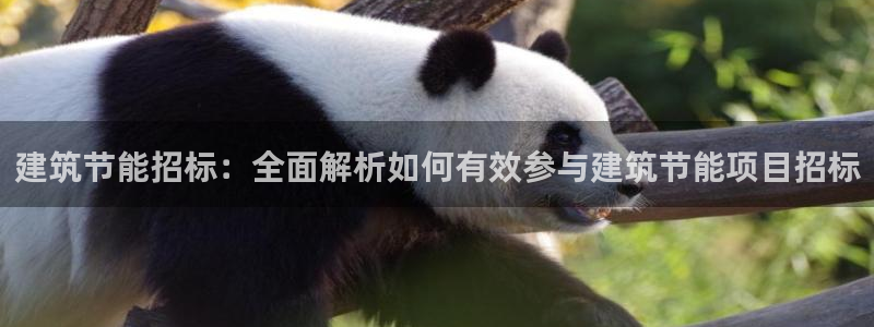 尊亿游戏国际官网：建筑节能招标：全面解析如何有效参与建筑节能项目招标