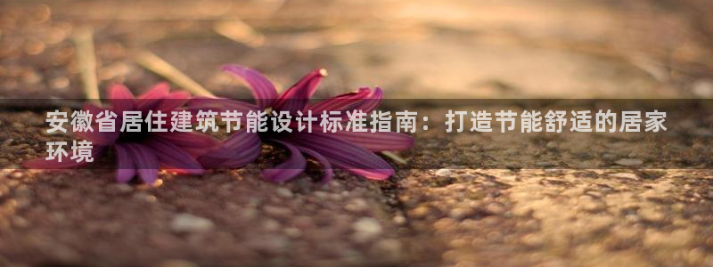 e尊国际-可可计划：安徽省居住建筑节能设计标准指南：打造节能舒适的居家
环境