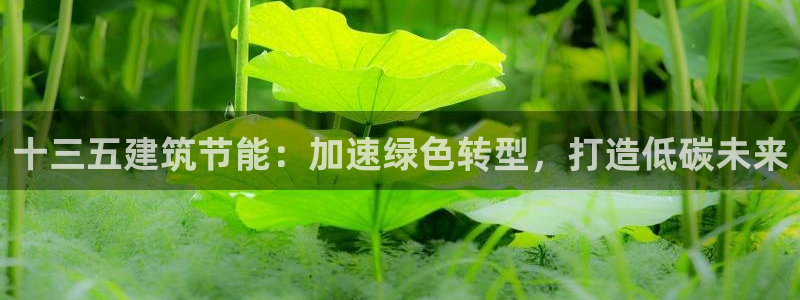 E尊国际：十三五建筑节能：加速绿色转型，打造低碳未来