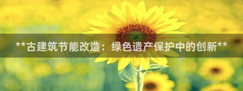 e尊国际是干什么的：**古建筑节能改造：绿色遗产保护中的创新**