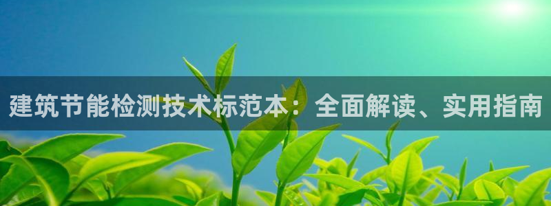 E尊国际：建筑节能检测技术标范本：全面解读、实用指南