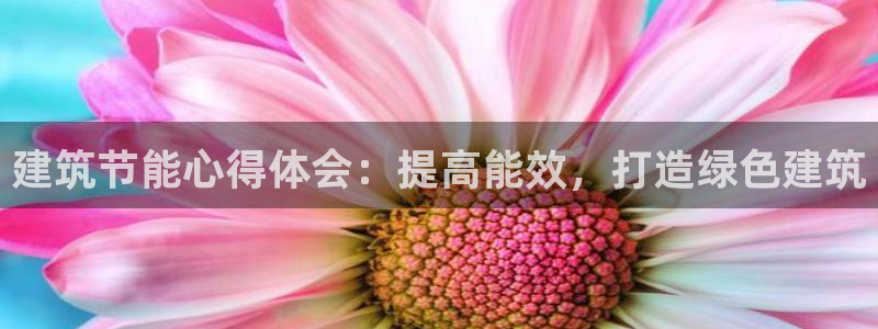 e尊国际官网app：建筑节能心得体会：提高能效，打造绿色建筑