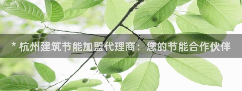 e尊官网：* 杭州建筑节能加盟代理商：您的节能合作伙伴