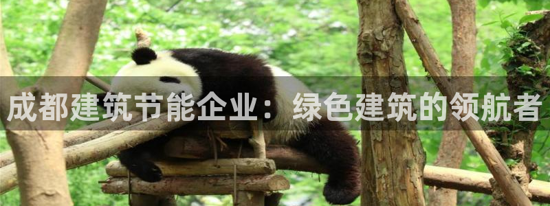 谁知道e尊国际的网址：成都建筑节能企业：绿色建筑的领航者