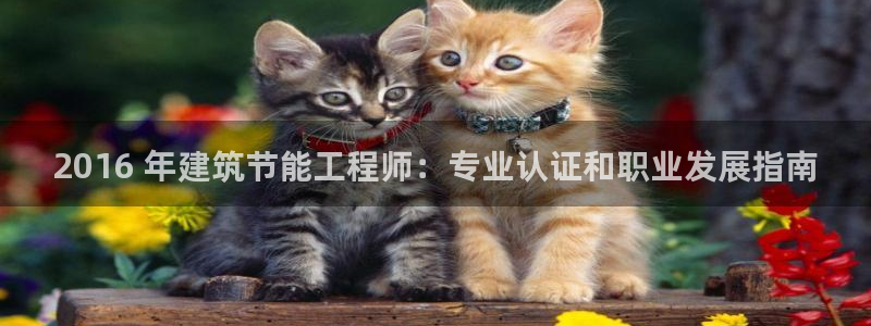 e尊国际网址：2016 年建筑节能工程师：专业认证和职业发展指南