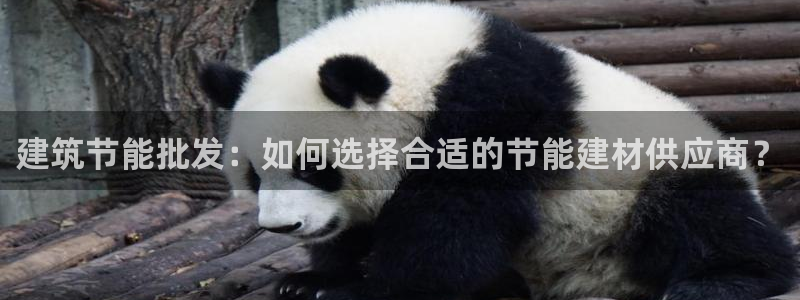 e尊国际客服：建筑节能批发：如何选择合适的节能建材供应商？