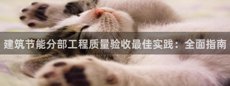 e尊国际的手机登录网站：建筑节能分部工程质量验收最佳实践：全面指南